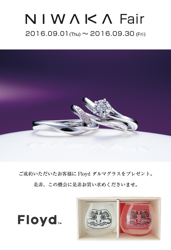 NIWAKA-FLOYD-201609