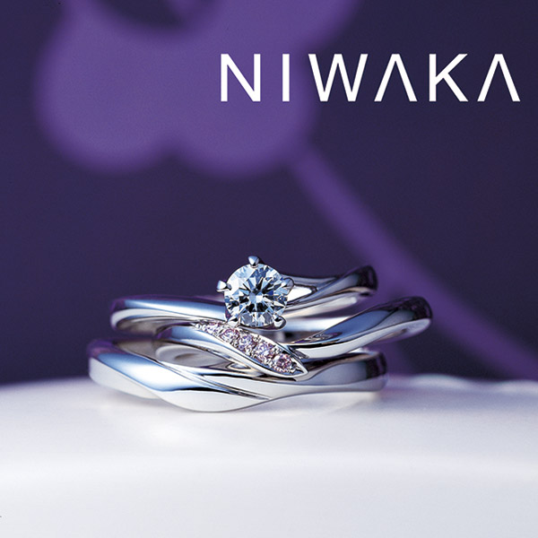 俄（にわか）NIWAKA  ダルマグラスプレゼントフェア　-2018.2-