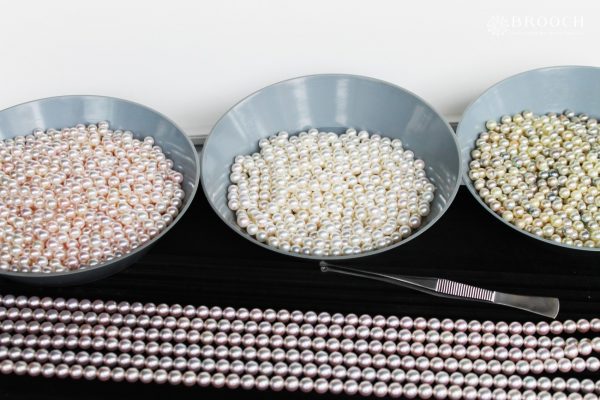 真珠は色やサイズで大まかに選別されて出荷される