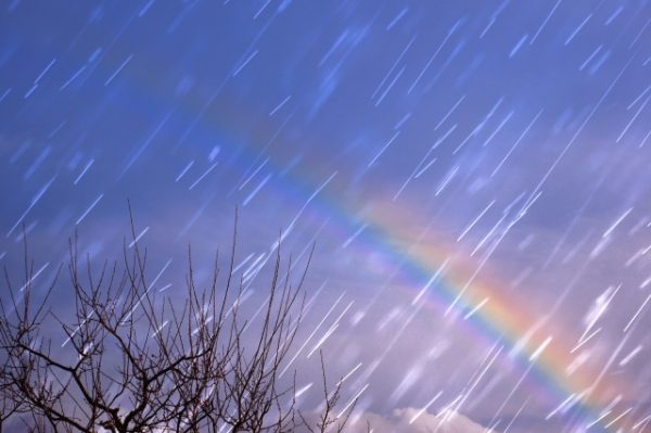 サプライズプロポーズにダイヤモンドのエンゲージリングを渡す、幸せな花嫁の最高の瞬間をBROOCH（ブローチ）で