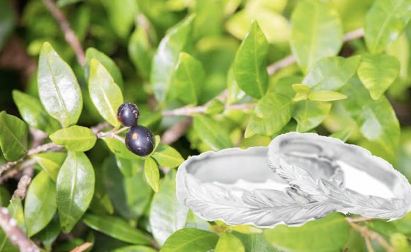 ハワイアンジュエリーを買うならブローチのマカナ