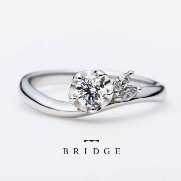 冬のプロポーズはブリッジ