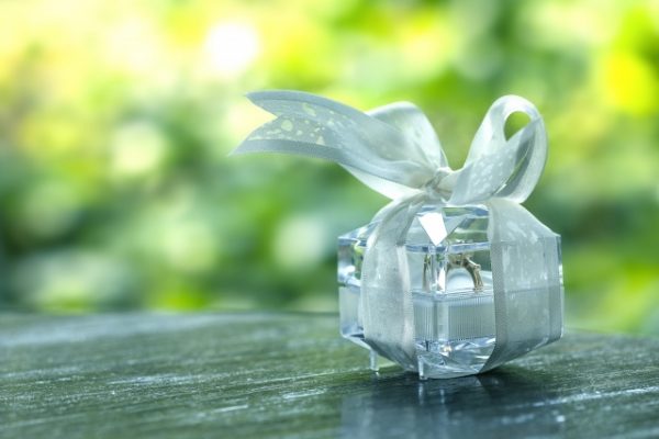 propose-niigata-brooch