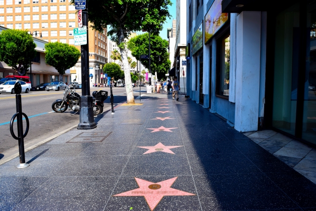 セレブを魅了するNIWAKA（にわか）の魅力