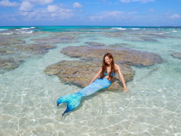 リトルマーメイドの限定デザイン