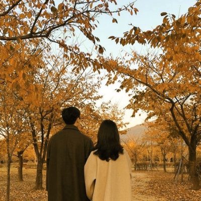 秋入籍をするなら