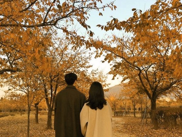 秋入籍をするなら