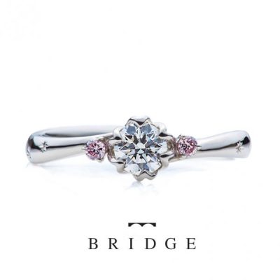 Spring Primrose　春の足音