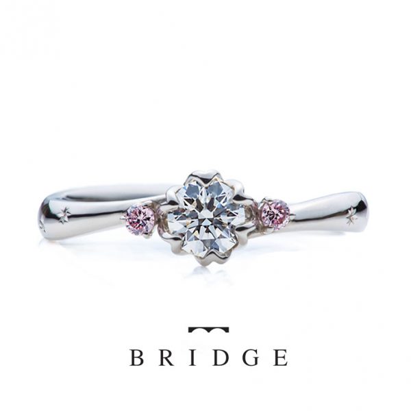 Spring Primrose　春の足音