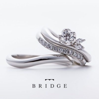 Winter Camellia／Morning Dew　運命の花／つむぎ