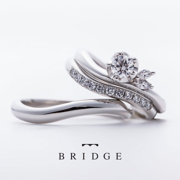 Winter Camellia／Morning Dew　運命の花／つむぎ