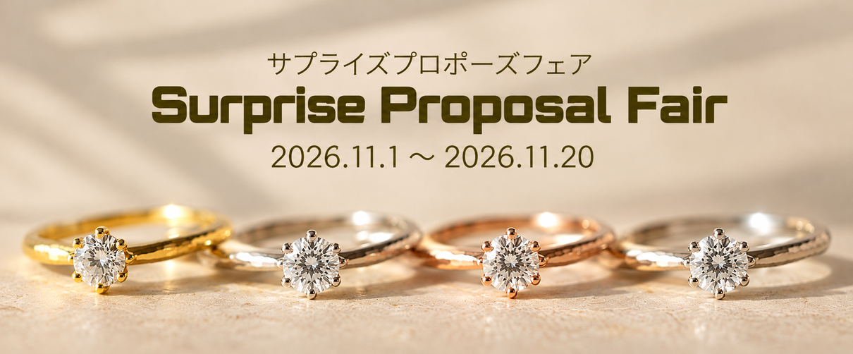 Surprise Proposal Fair 2026