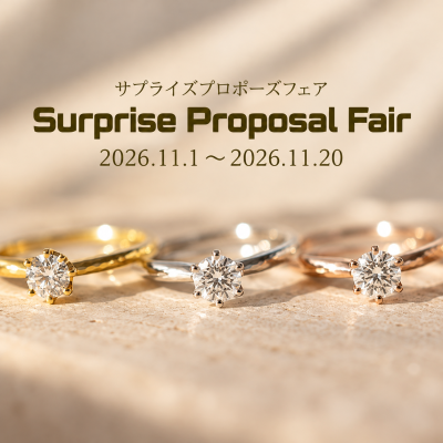 Surprise Proposal Fair 2026