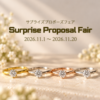 Surprise Proposal Fair 2026